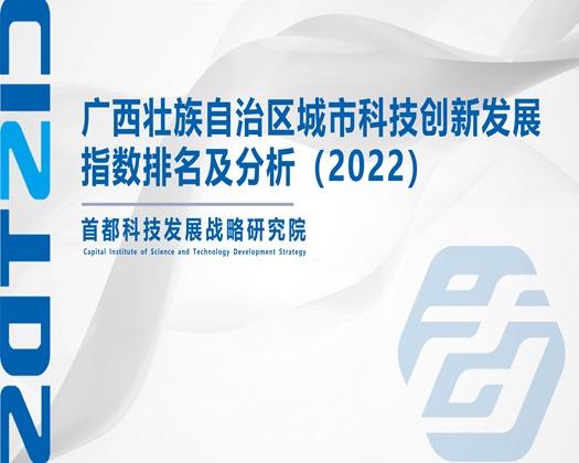 在线观看搞鸡巴【成果发布】广西壮族自治区城市科技创新发展指数排名及分析（2022）